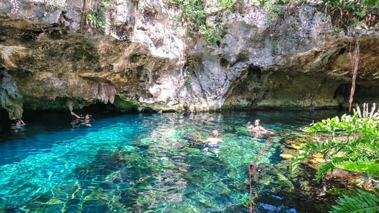 Snorkeling in Cenotes - Mexico Blue Dream